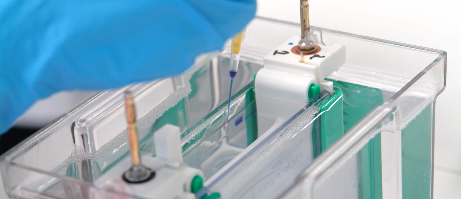 MIRRI-PT partner MUM celebrates 30 years of advancing microbial biodiversity and innovation