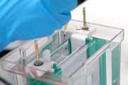 MIRRI-PT partner MUM celebrates 30 years of advancing microbial biodiversity and innovation