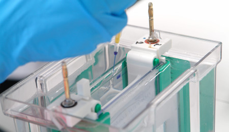 MIRRI-PT partner MUM celebrates 30 years of advancing microbial biodiversity and innovation