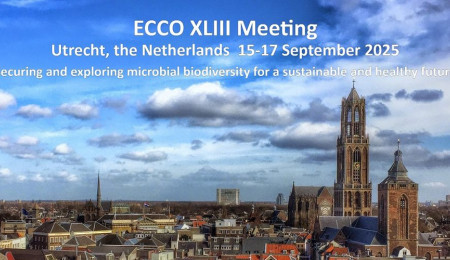 MIRRI-ERIC present at ECCO XLIII Meeting