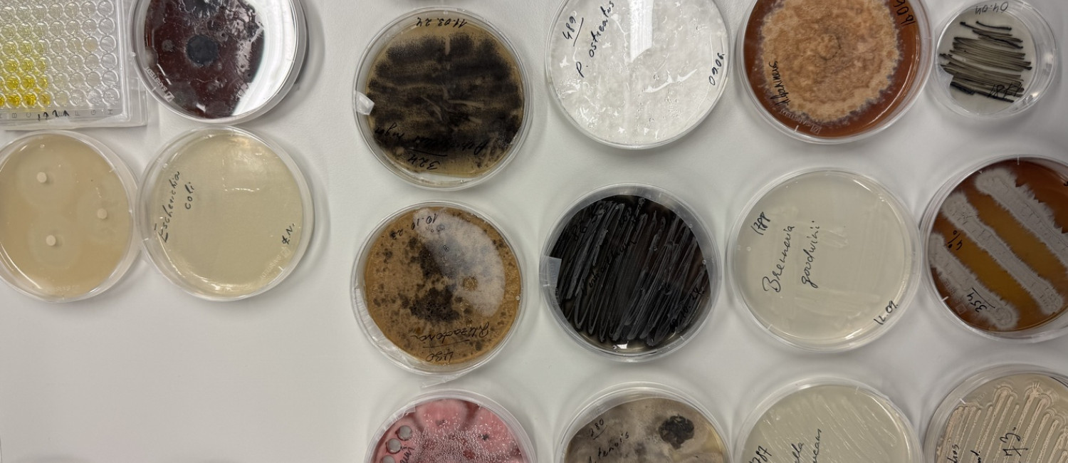 MIRRI-ERIC Partner University of Latvia Offers Postdoctoral Opportunity in Microbial Biotechnology and Synthetic Biology