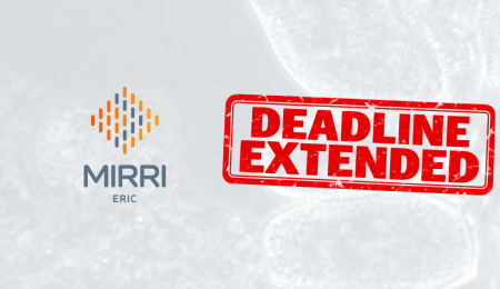 Deadline extended: Post-Doctoral Research and Innovation Fellowship (BIPD) Opportunity