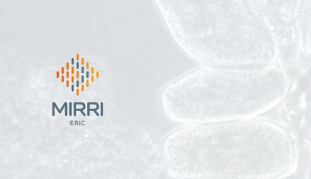 MIRRI-ERIC Voices Webinar Ep. 1: Cyanobacterial Taxonomy