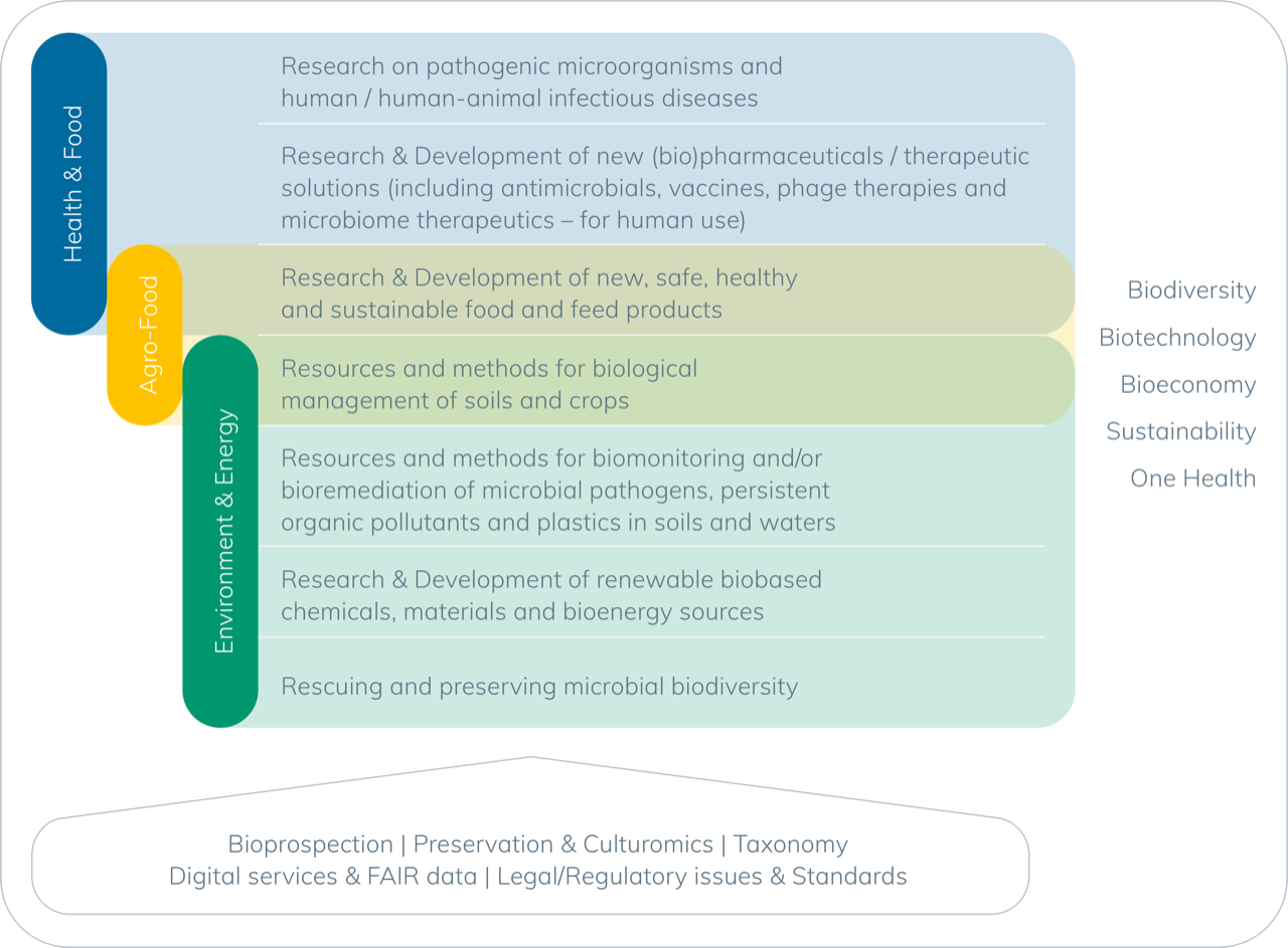mirri-agenda-overview-of-services.png